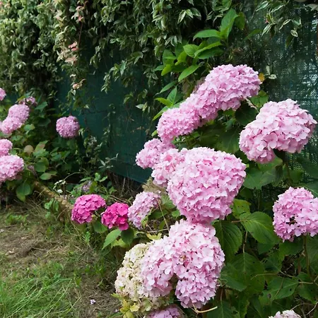 بيت للعطل Candiles *