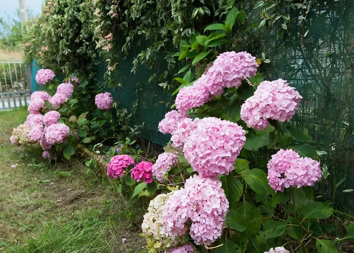 Vakantiehuis Candiles *